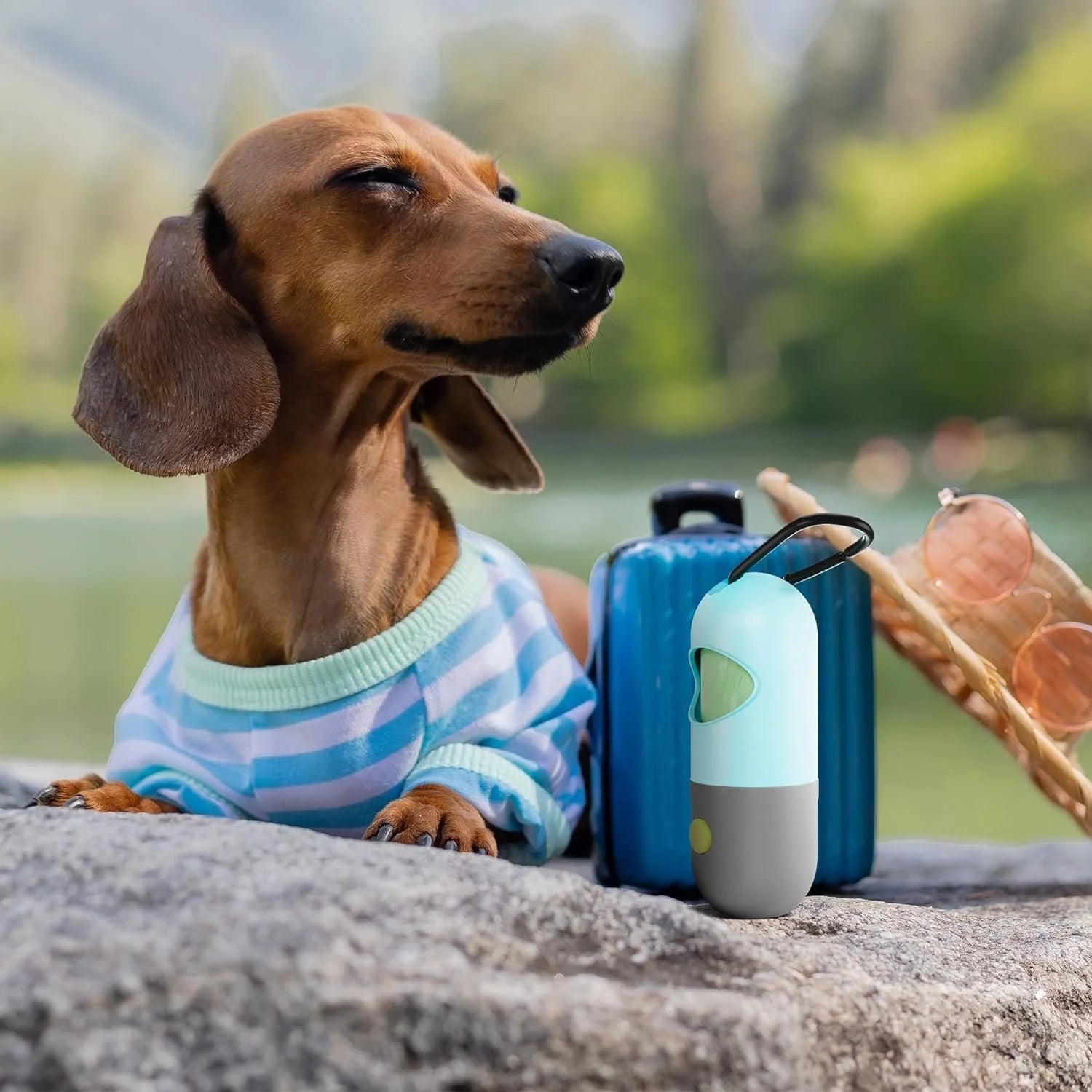 Dog Poop Bag Dispenser W/ 4 Rolls, Flashlight, Carabiner - Green