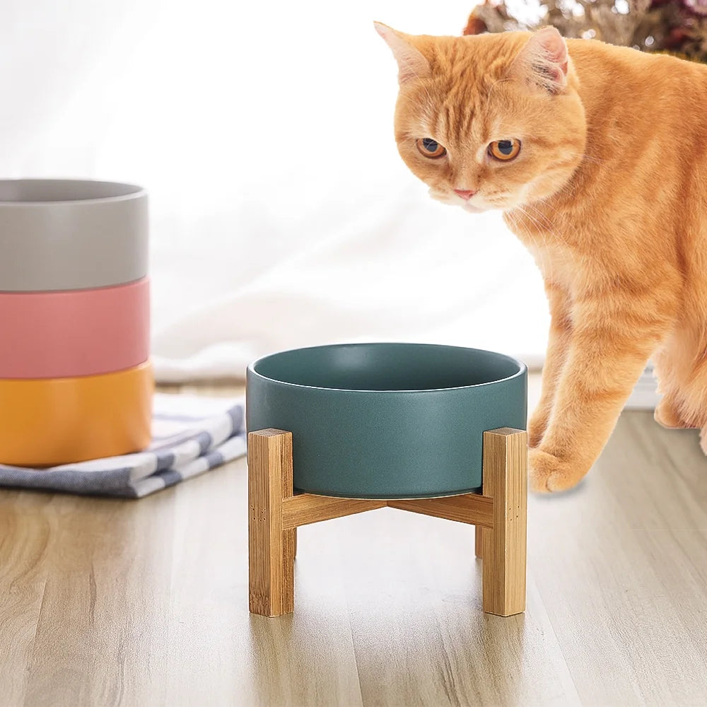 Lionwei Elevated Ceramic Cat & Dog Bowl with Anti-Slip Stand for Pets, White